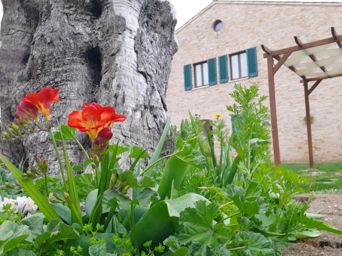 Casale Del Conero Aparthotel Porto Recanati Exterior photo